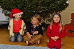 Päkapikula 2015