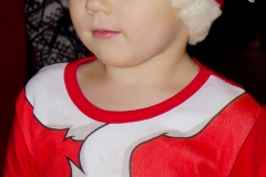 Päkapikula 2016